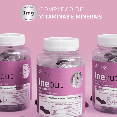 INEOUT-SILICIUM_03