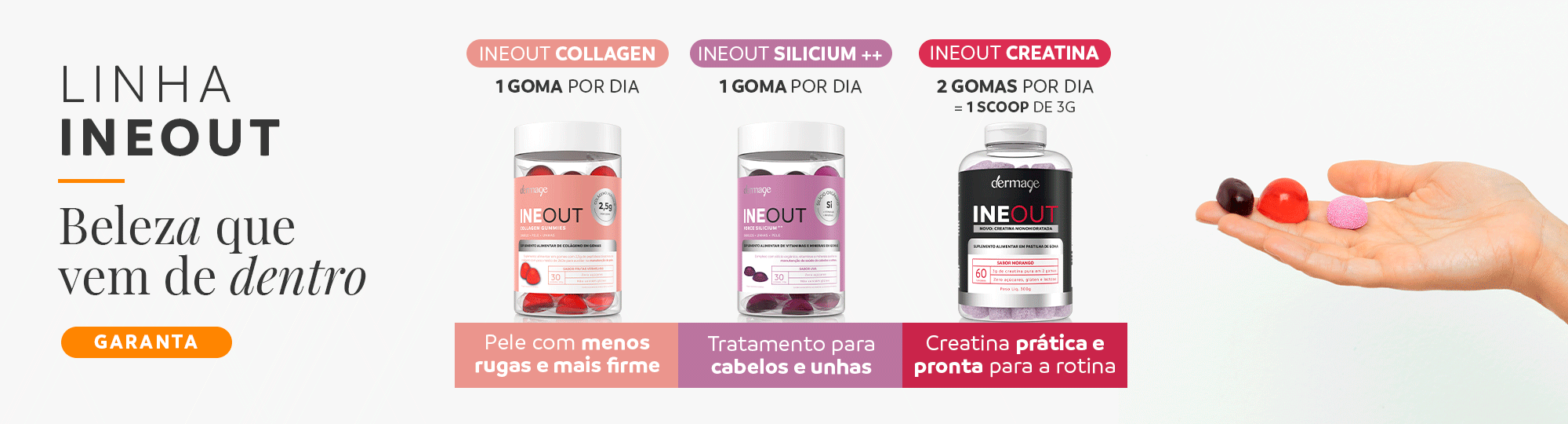 LINHA-INEOUT